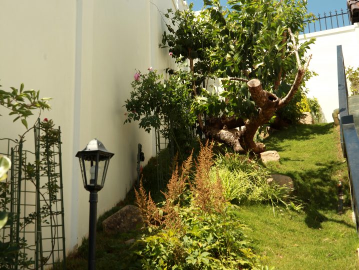 homestay đà lạt, villa đà lạt, biệt thự nguyên căn đà lạt